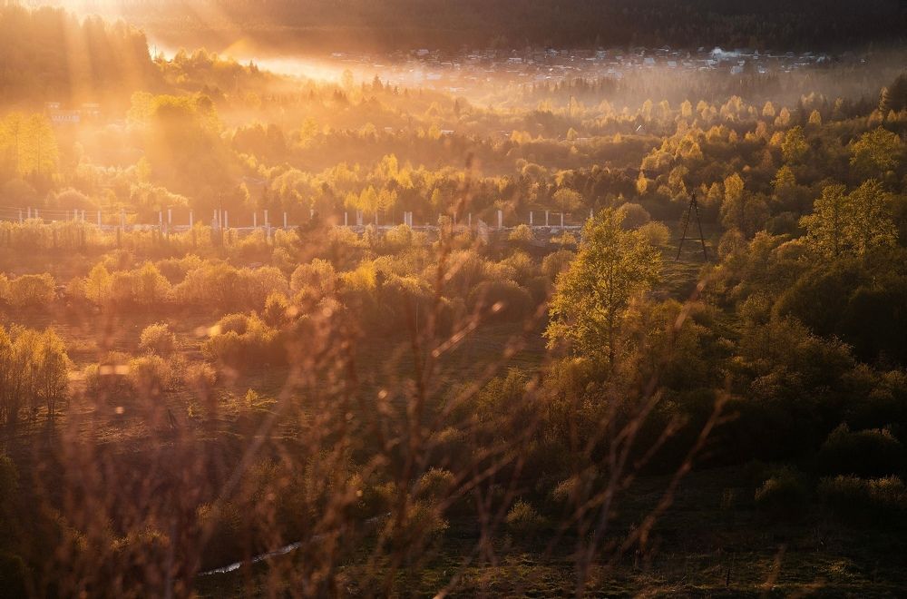 Photograph by Дмитрий Потатуев