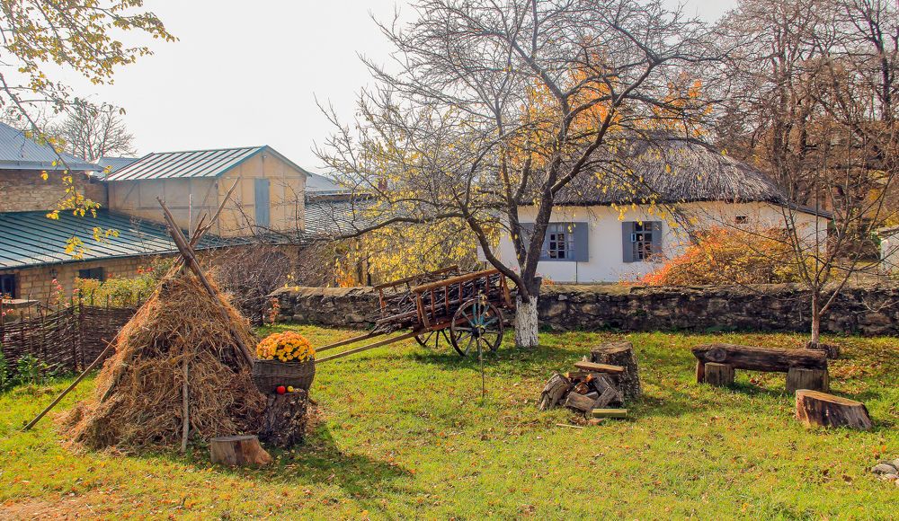Краски осени