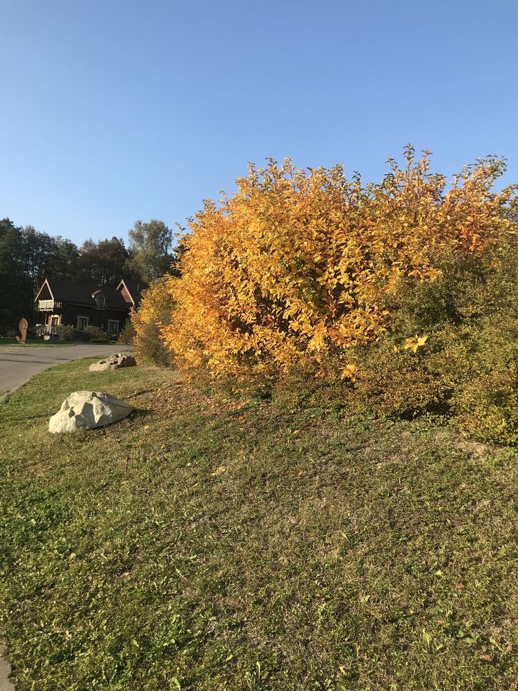 Photograph by Николай Захаров