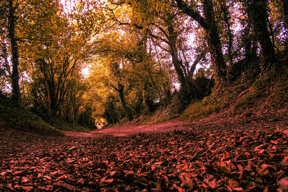 Photograph by Sergejs Barkans