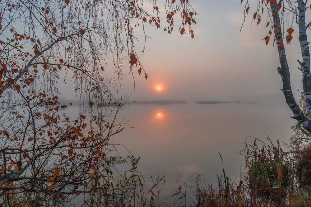 Photograph by Евгений Патрешов