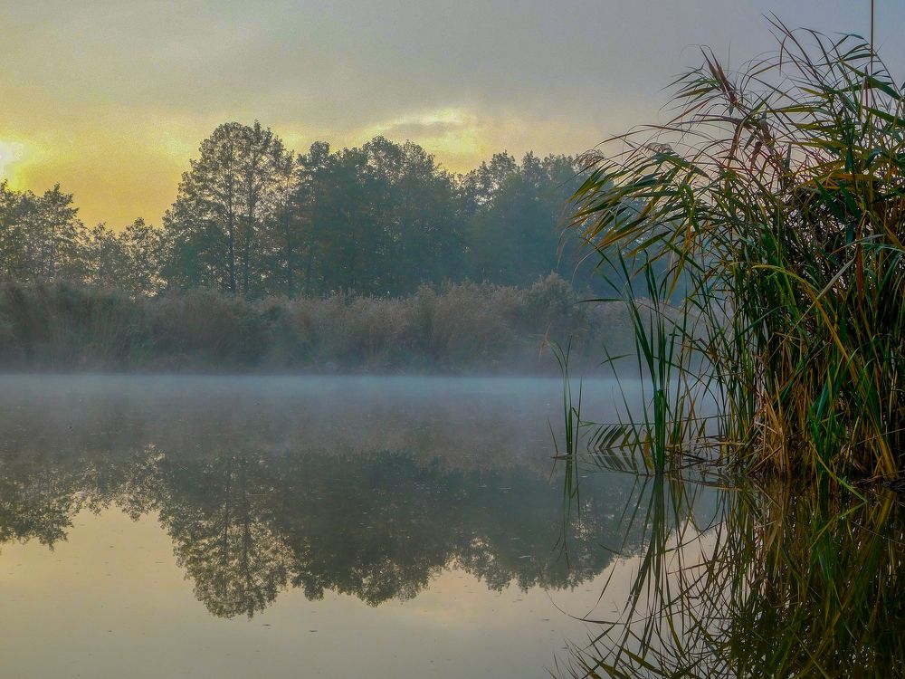 Photograph by Андрей Семенченко