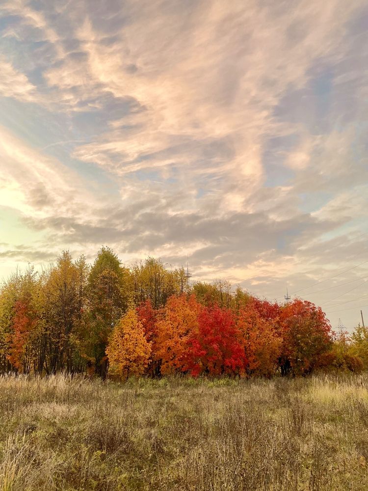 Фотография автора Александр Заикин