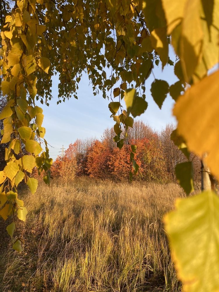 Фотография автора Александр Заикин