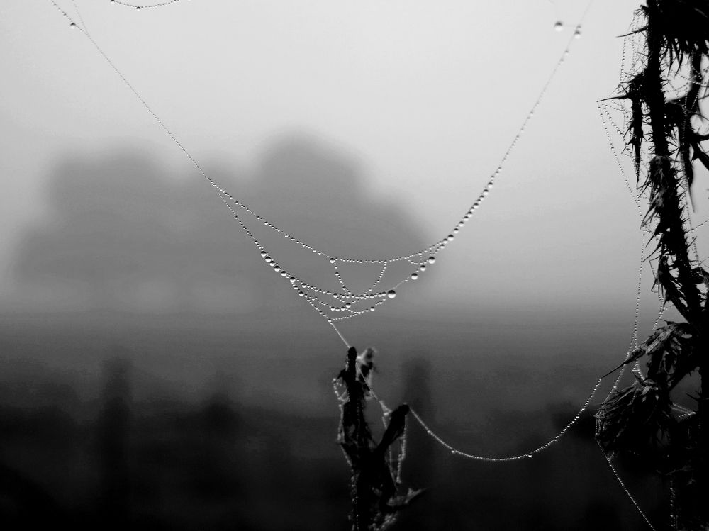 Photograph by Viviana García