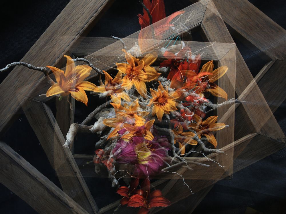 Photograph by Андрей Степанов