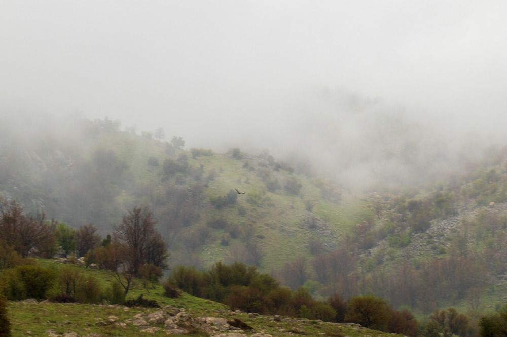 Photograph by Maxim Pshater