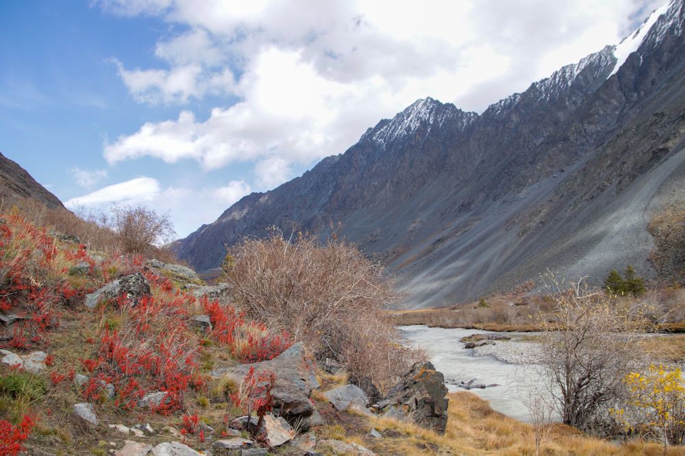 Photograph by Наталья Трифуз