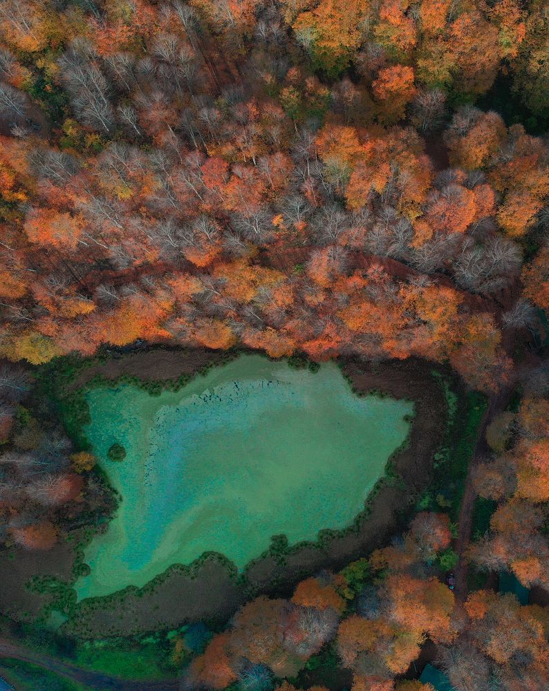 Photograph by NİYAZİ GÜRGEN