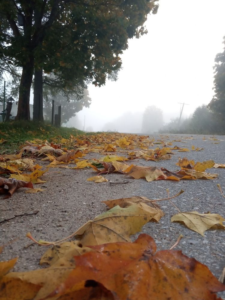 Photograph by Любовь Шаврина