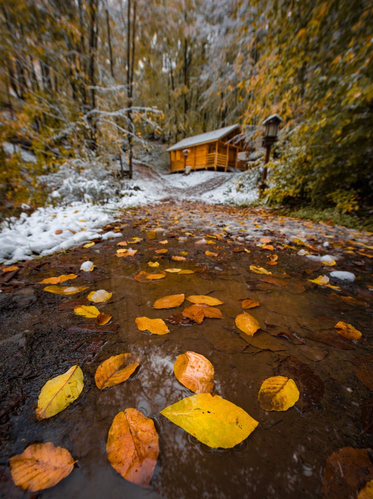 Photograph by NİYAZİ GÜRGEN