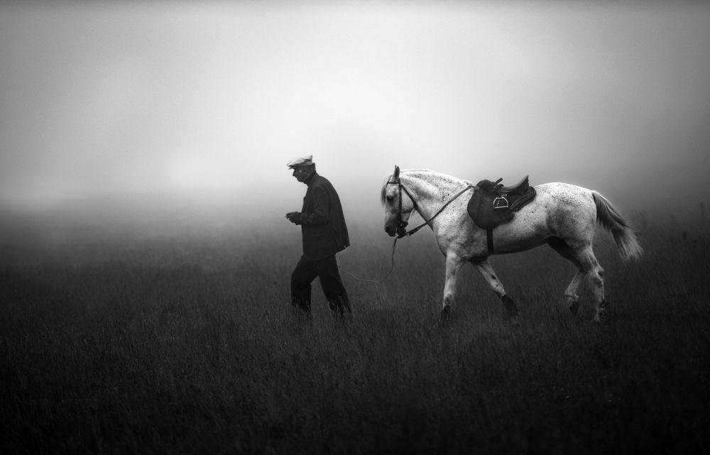 Photograph by NİYAZİ GÜRGEN