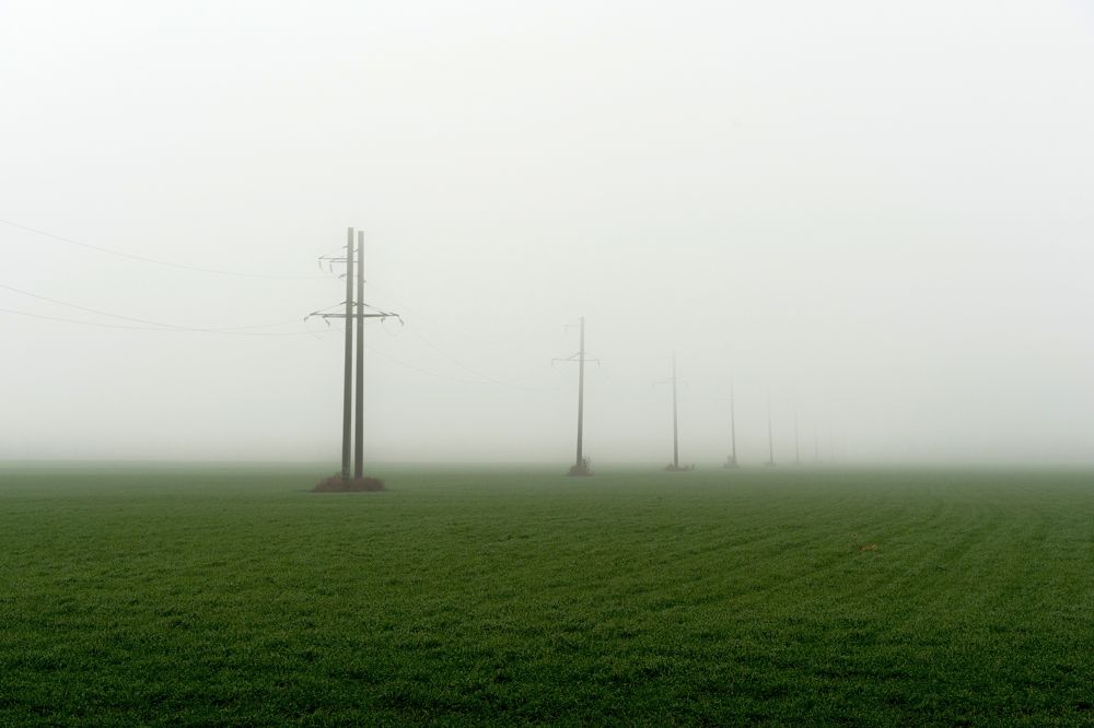 Photograph by Александр Пиленгас