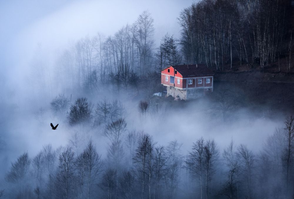 Photograph by NİYAZİ GÜRGEN