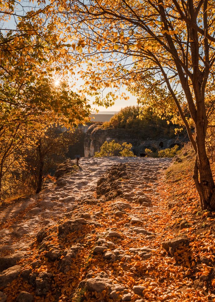 Photograph by Ольга Бурмистрова