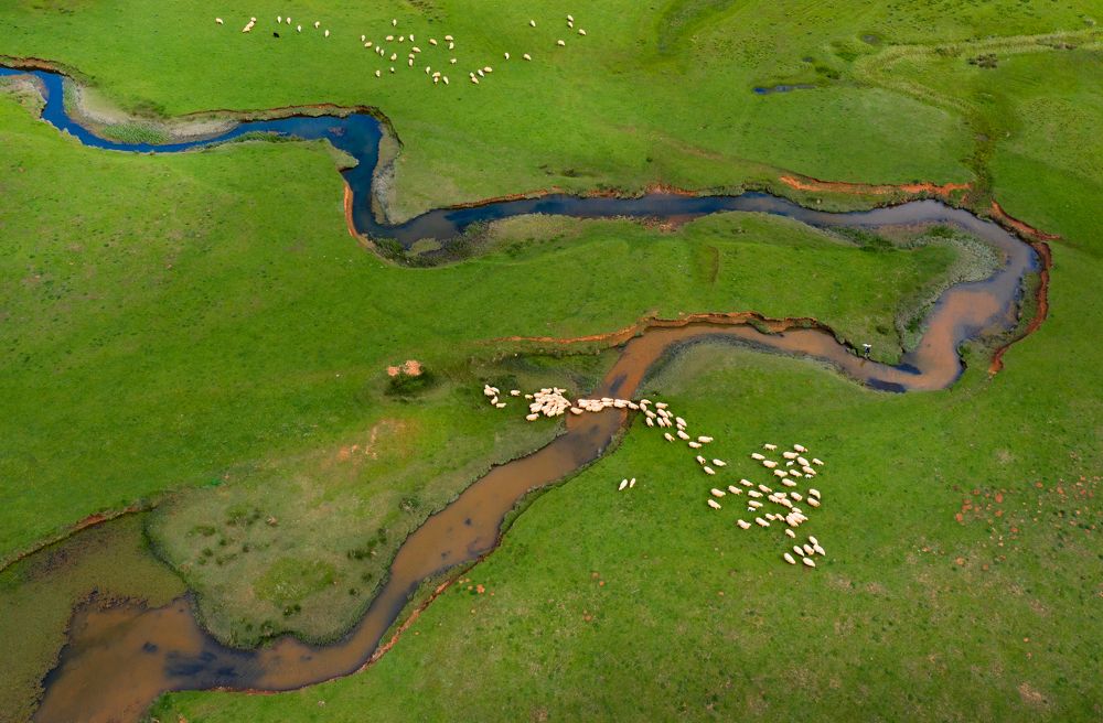 Photograph by NİYAZİ GÜRGEN