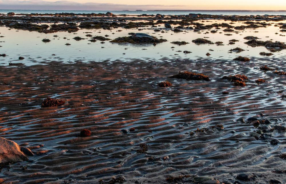 Photograph by Николай