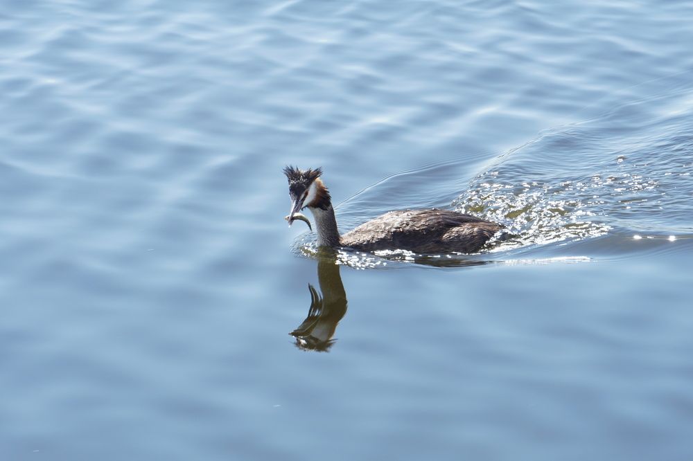 Photograph by Алфия Бугакова