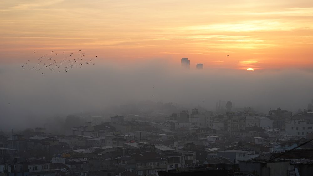 Photograph by David Pipia