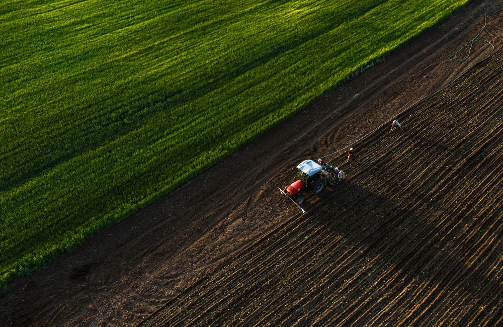 Photograph by NİYAZİ GÜRGEN