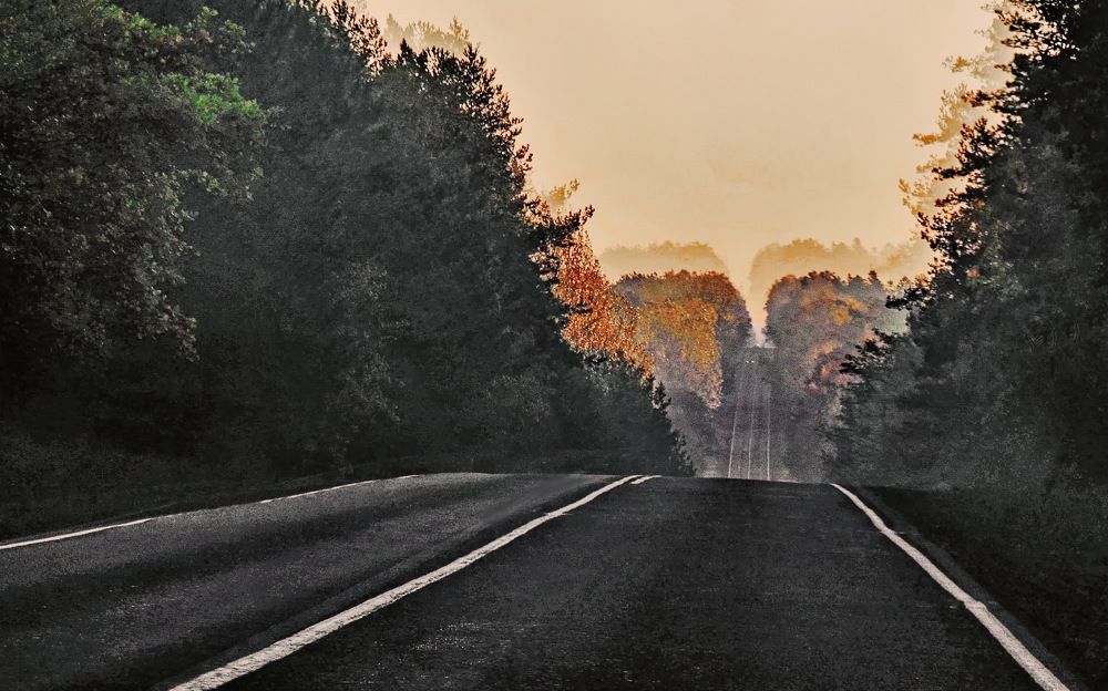 Фотография автора Алексей Ганчук