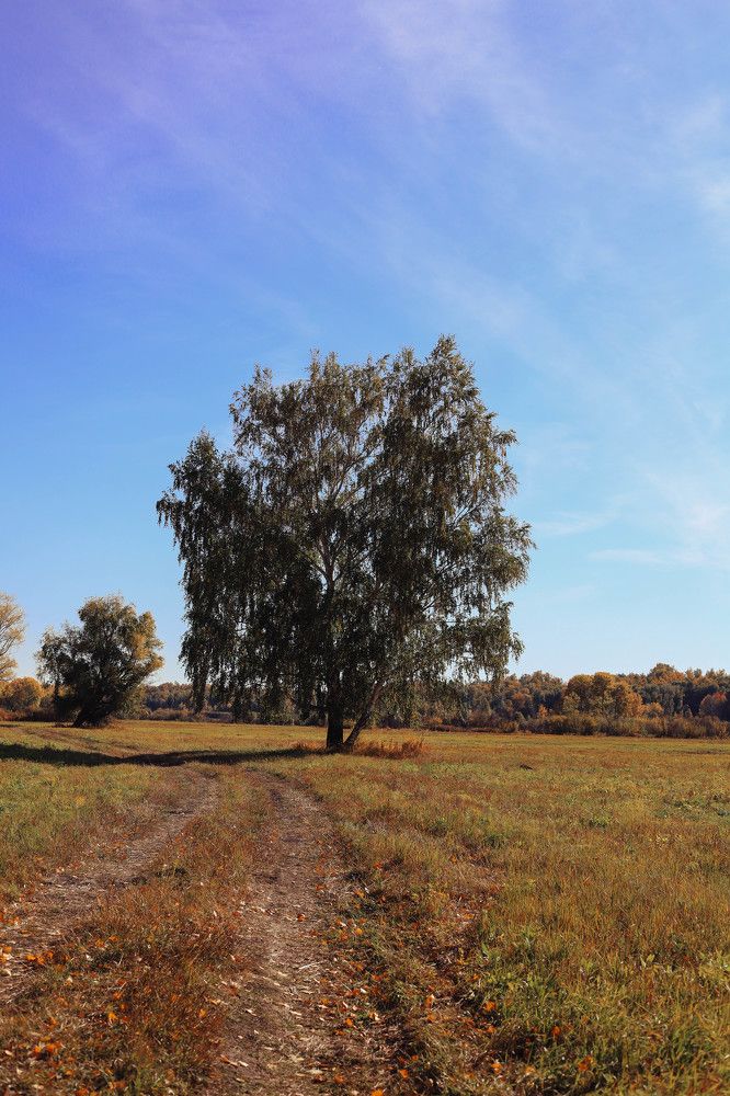 Фотография автора KattyFox