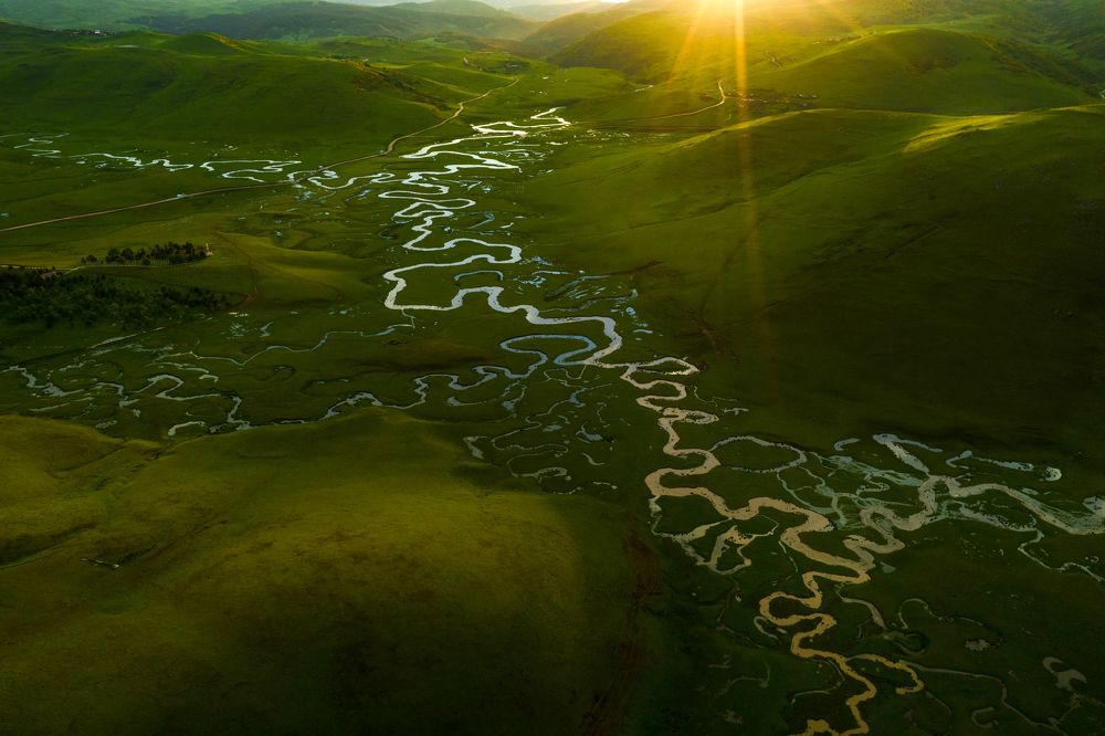 Paradise of Meanders