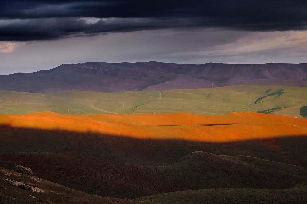 Photograph by Marat Sairanbaev