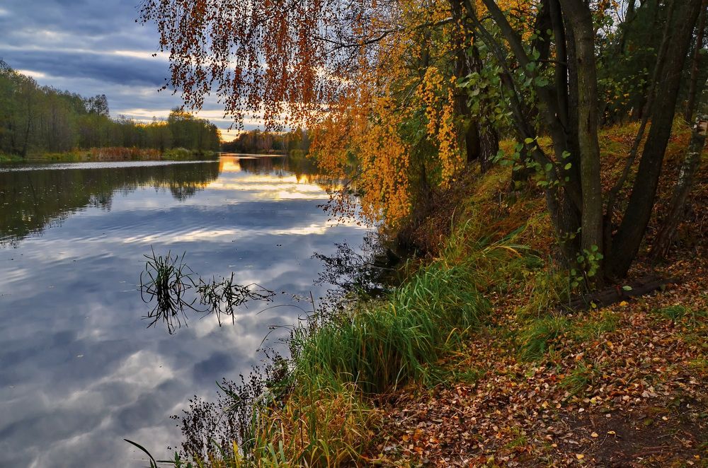 Фотография автора Алексей Ганчук