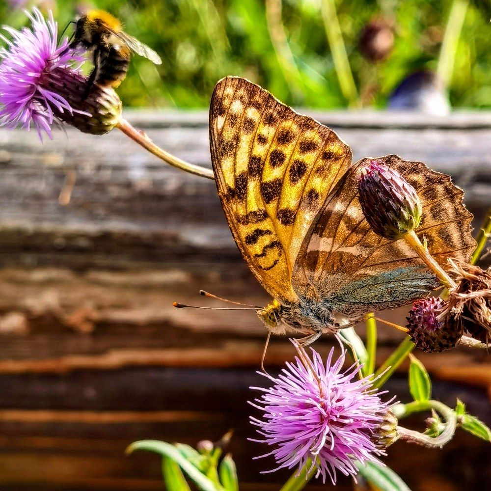 Photograph by Ольга