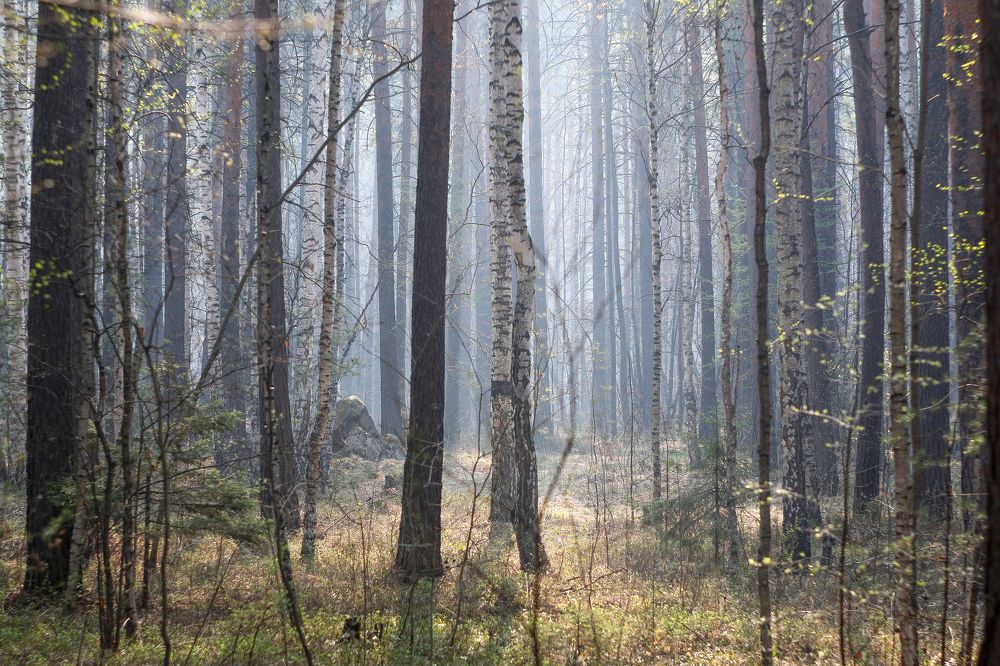 Photograph by Алексей Оборин