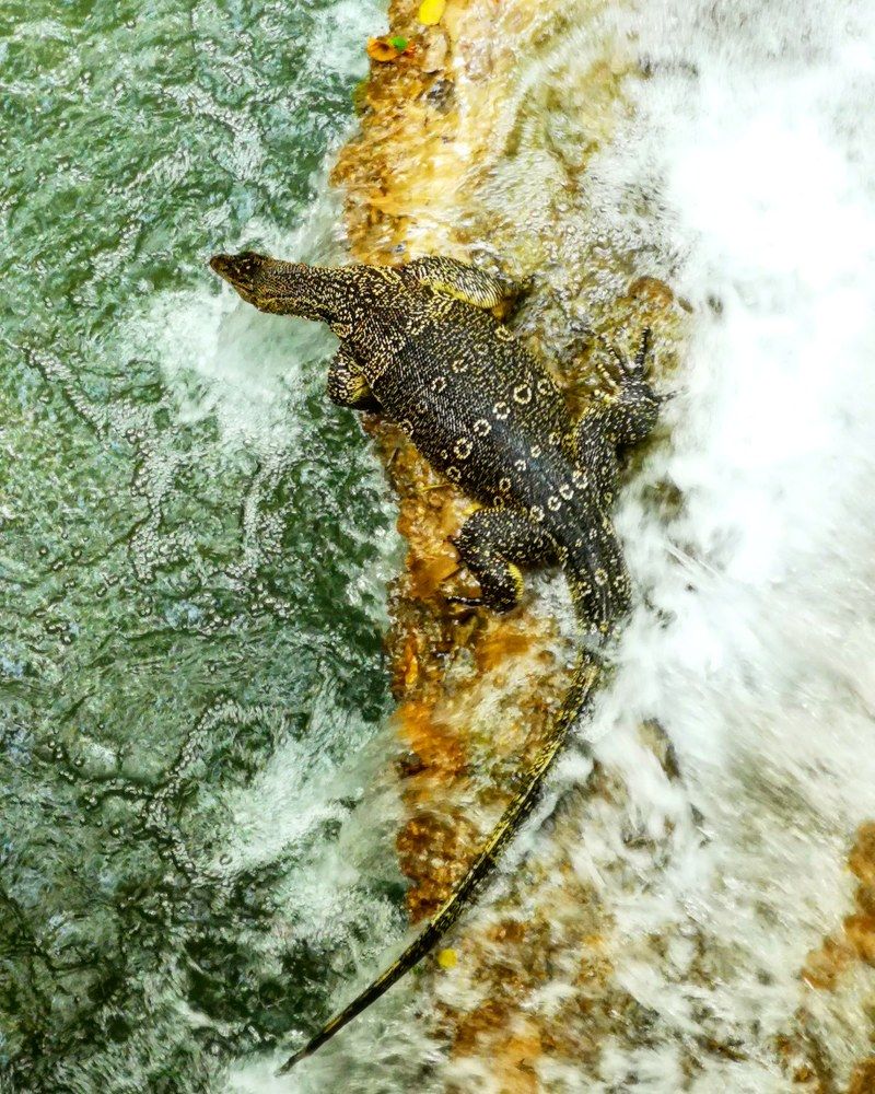 Photograph by Олика