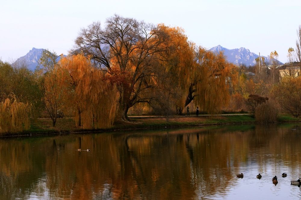 Photograph by Игорь Куленко