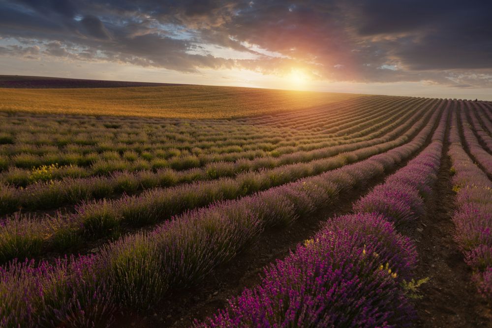 Фотография автора AGIL