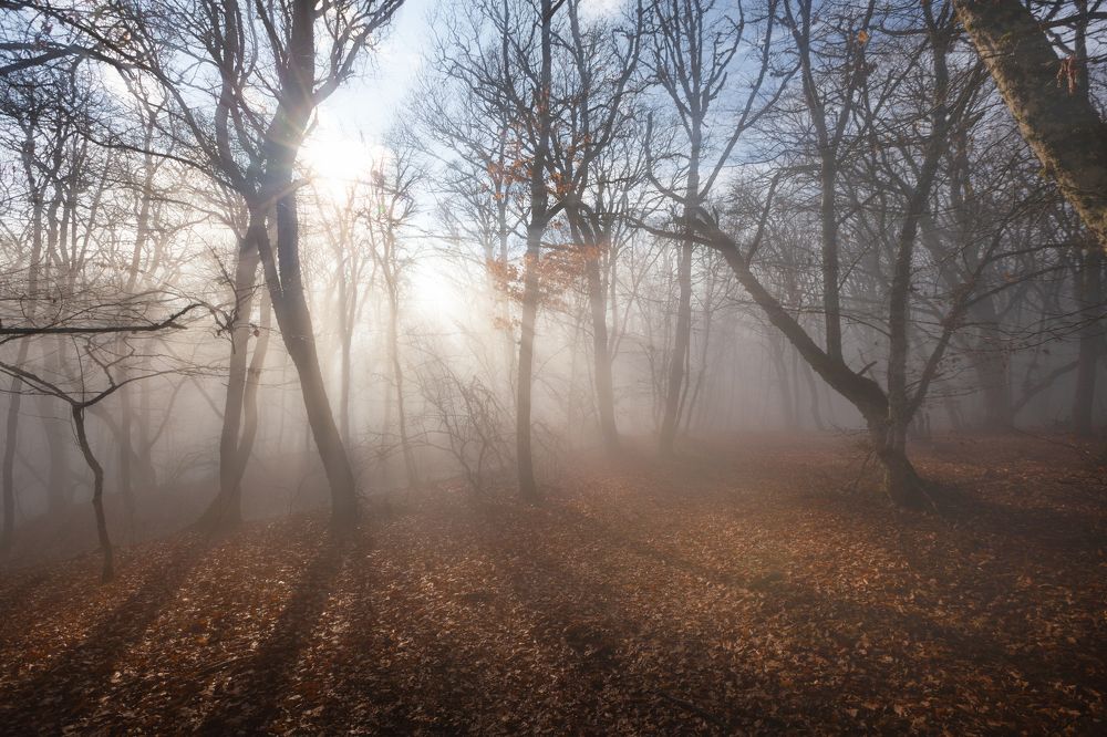 Фотография автора AGIL