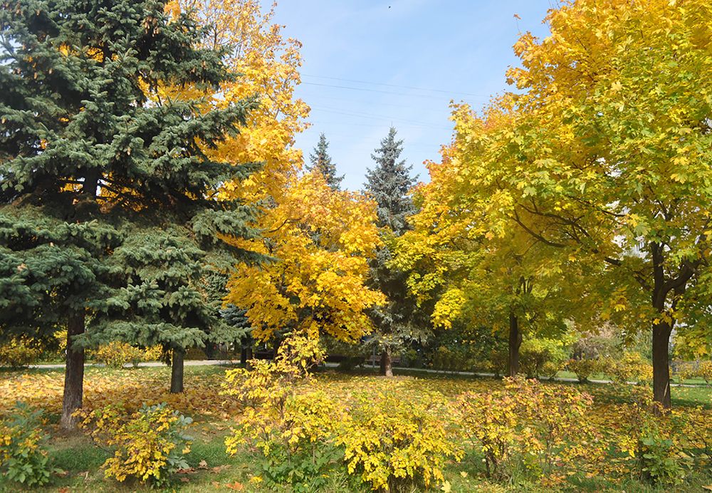 Photograph by Хвостов владимир Владимирович