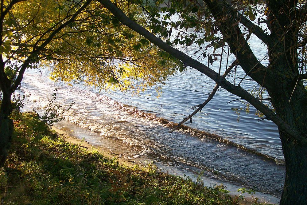 Photograph by Хвостов владимир Владимирович
