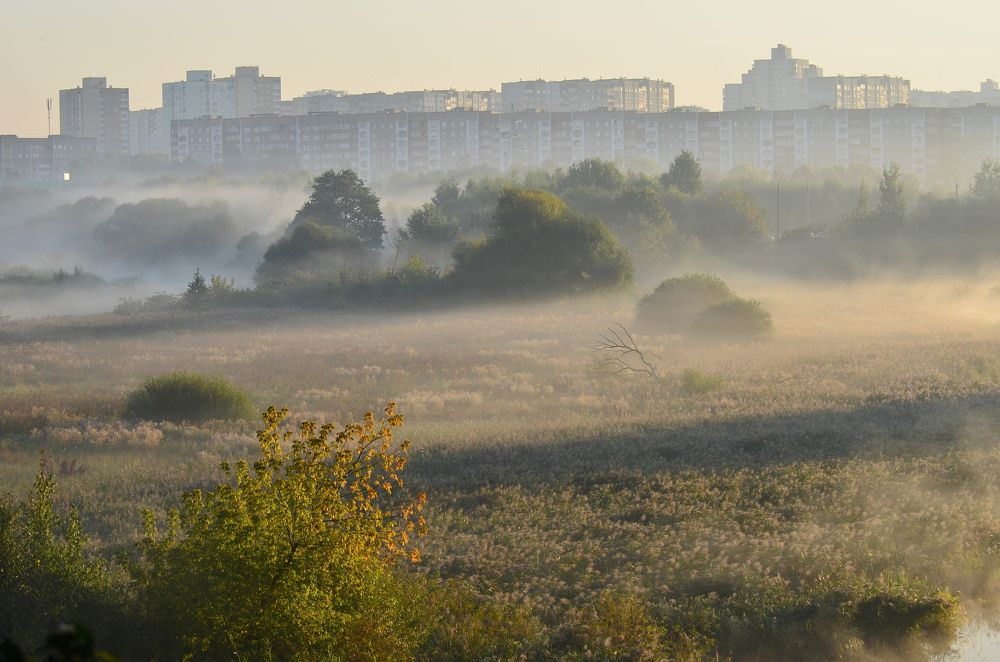 Фотография автора Антип