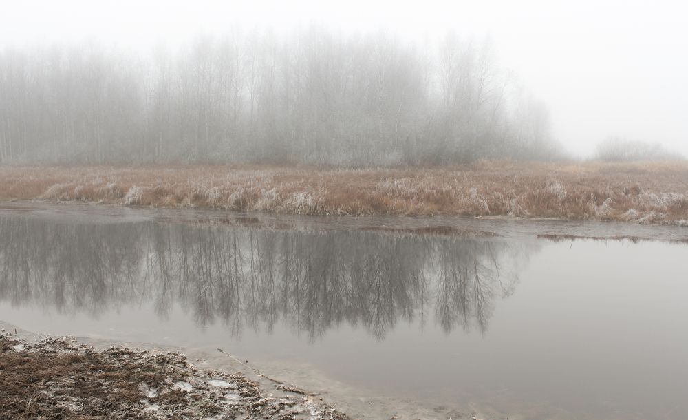 Photograph by Герман