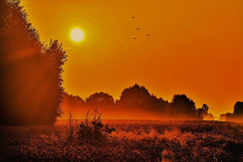 Photograph by Алексей Сиваков