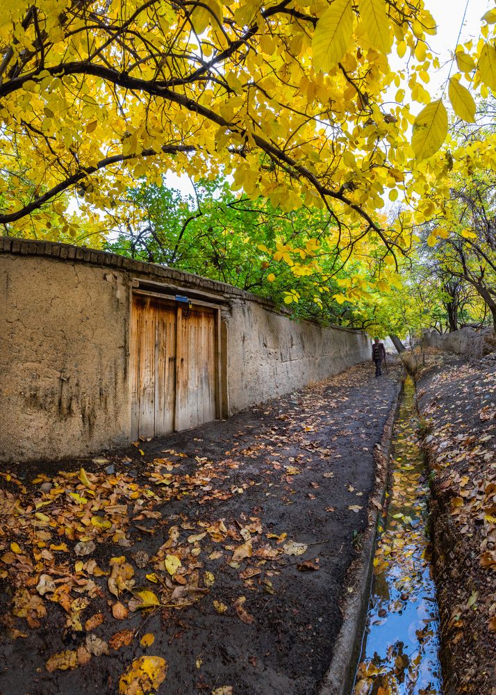 Фотография автора majid arab