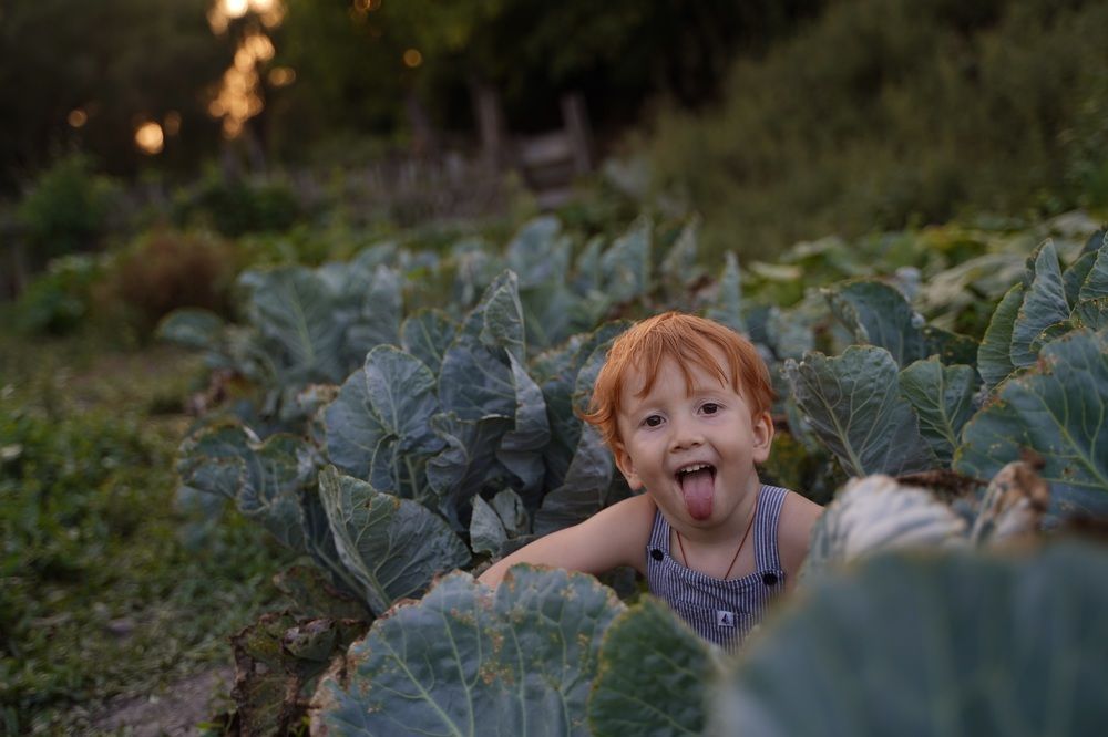 Photograph by Мария Федотова