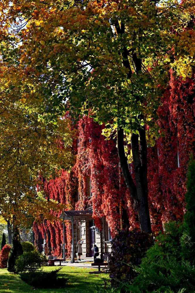 Photograph by Alexey Smal