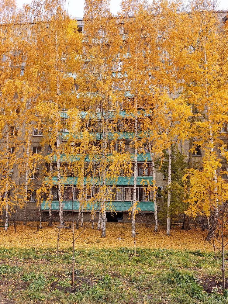 Photograph by Алексей и Юлия Дарьины