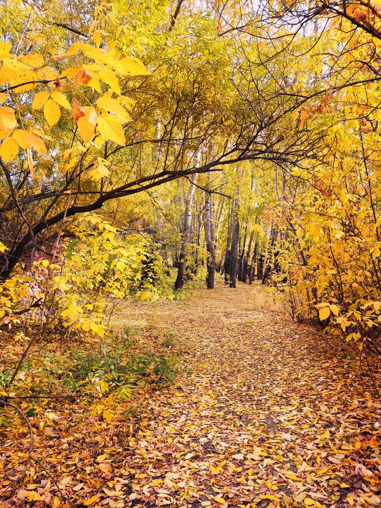 Photograph by Алексей и Юлия Дарьины