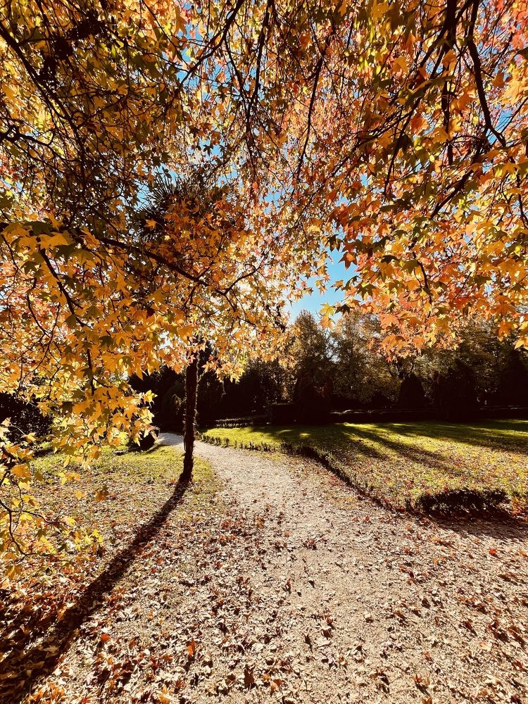 Photograph by Артëм Антонов