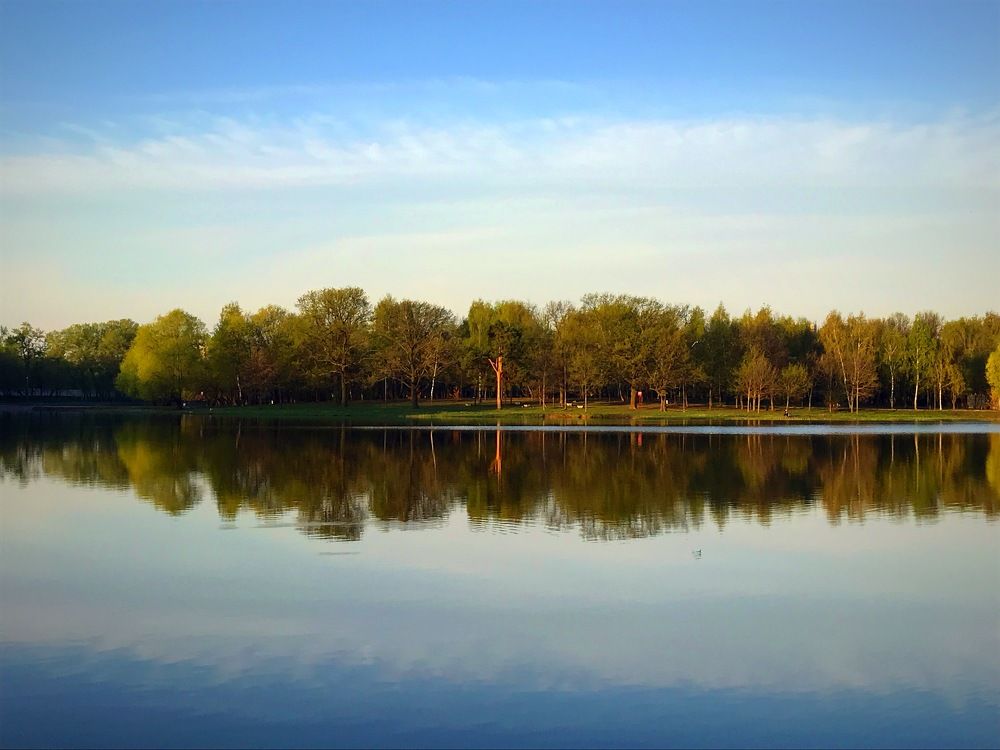 Симметрия в кадре.