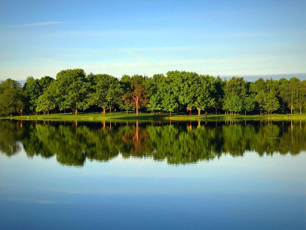 Симметрия утра.