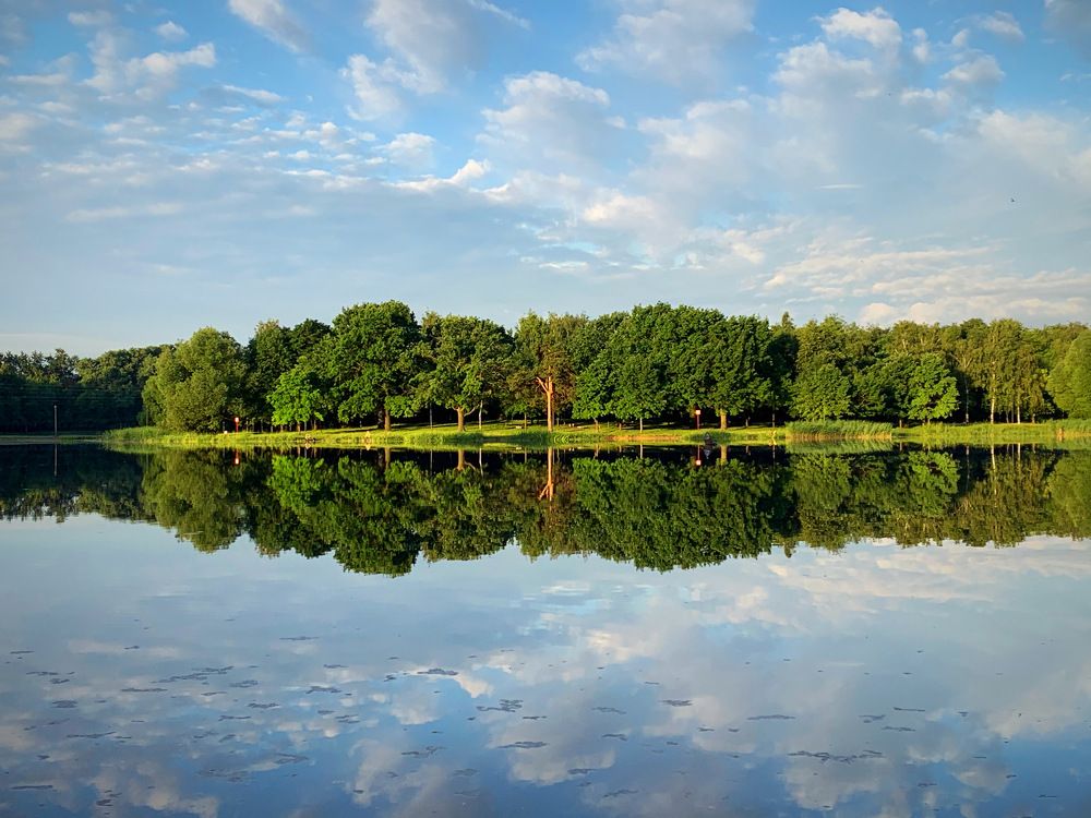 Зеркальная симметрия в природе.
