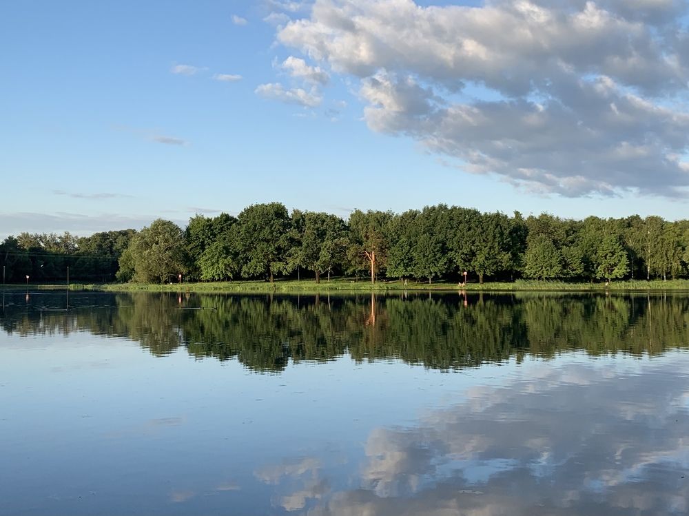 Этот удивительно симметричный мир.